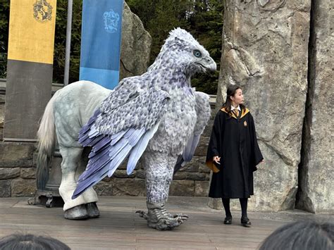 Harry Potter Hippogriff