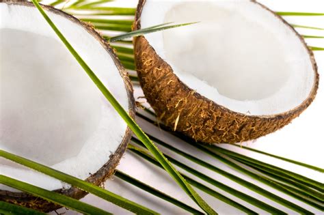 Saturated Fats Linked To Osteoarthritis But Coconut Oil Can Help Ease