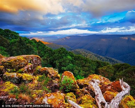 Barrington Tops National Park At Sunset View From Thunderbolt Lookout