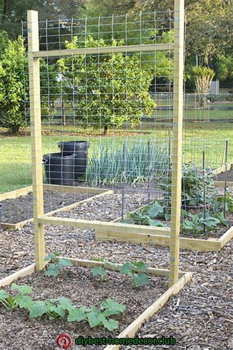 23 Functional Cucumber Trellis Ideas Guaranteed To Boost Your Harvest