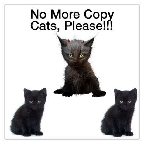No More Copy Cats Please Pls Read Cats Animals Polyvore