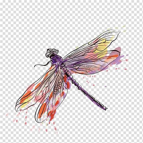 Pink Dragonfly Clipart 10 Free Cliparts Download Images On Clipground