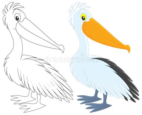 Pelican Stock Illustration Illustration Of Birds Marine 31334504