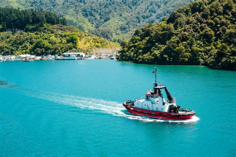 New Zealand Queen Charlotte Sound Stock Photos Pictures And Royalty Free