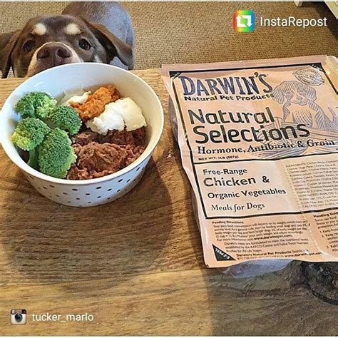 Darwins Natural Pet Products On Instagram Repost From Tuckermarlo