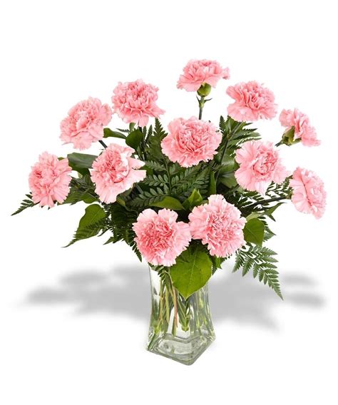 A Dozen Carnations With Accent In 2022 Flowers Online Flower