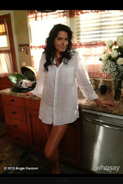 Where Did The Content Go Whosay Angie Harmon Angie Angie Harmon