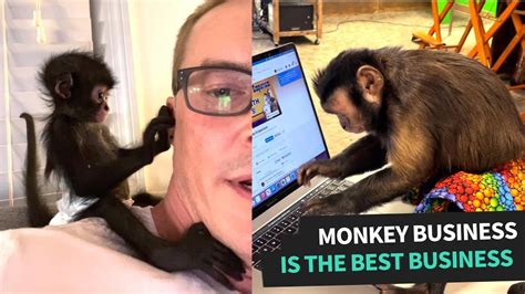 Just Monkeying Around Youtube