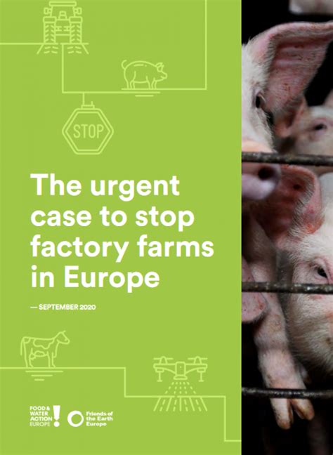 The Urgent Case To Stop Factory Farms