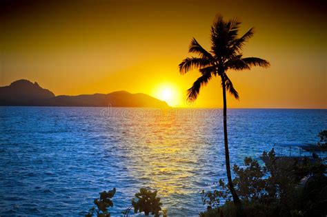 Ocean Palm Tree Tropical Sunset Sky Stock Photo Image Of Fijian