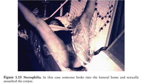 【閲覧注意】葬儀場で綺麗な女性の遺体がレ プされてしまう事件衝撃の1枚 ポッカキット