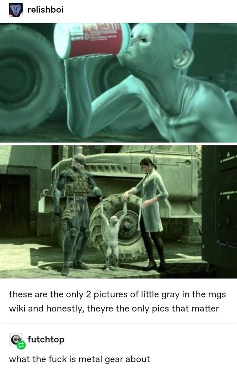 i m 🏳️‍⚧️ lizert how☄️6 2 spoilers on twitter rt kermie190 one of my favorite mgs posts