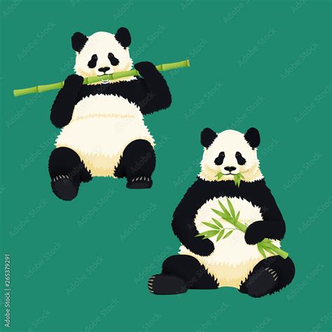 Giant Pandas Sitting And Eating Black And White Bear Holding And