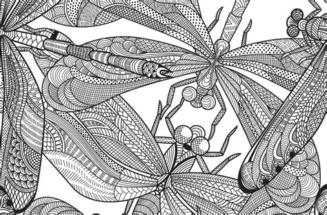 Extraordinary dragonfly coloring page 1. Dragonfly Free Pattern Download - Hobbycraft Blog