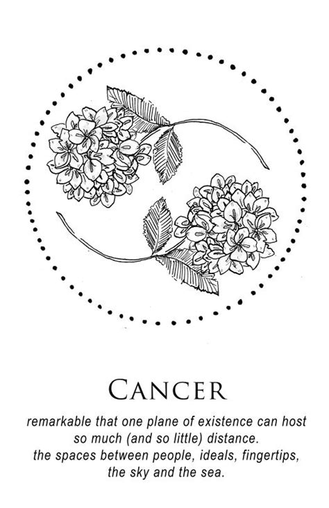 They are extremely fickle and difficult to seduce. Flowers and circle | Cancer zodiac tattoo, Zodiac tattoos ...