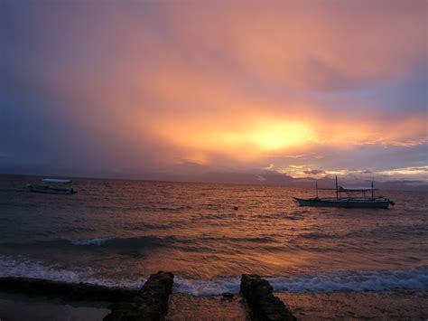 Diving In Moalboal Philippines Divingmoredivingmore