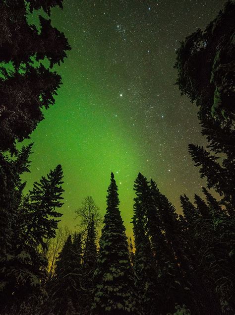 Lakeland Provincial Park Dark Sky Preserve In Alberta Canada