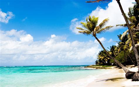 71 Free Caribbean Beach Wallpaper On Wallpapersafari