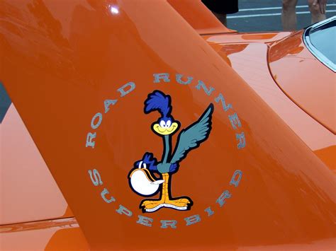 Wile E Coyote And The Road Runner Warner Bros Wiki