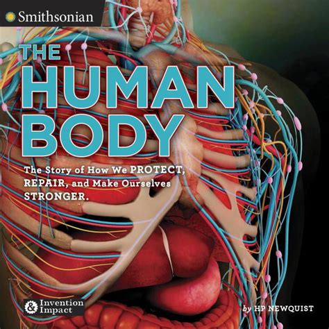 The Human Body The Story Of How We Protect Repair And Make