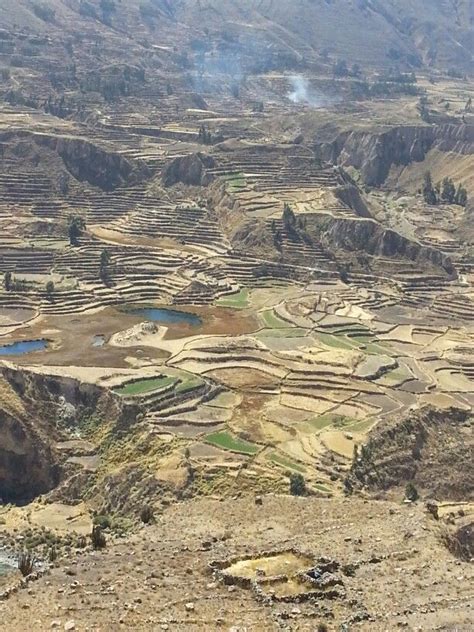 Terraced Farming In The Andes In Peru Scenery Natural Landmarks Travel