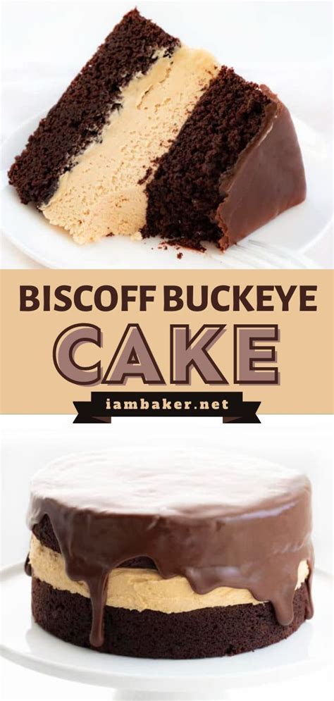 Biscoff Buckeye Cake Recipe Easy Impressive Dessert Unique Cakes