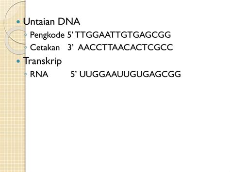PPT - Materi Metabolisme purin dan pirimidin PowerPoint Presentation