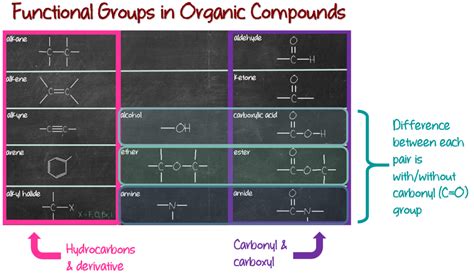 Introducing The 13 Functional Groups Chemsimplified