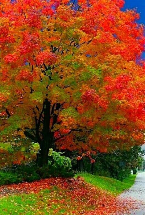 Pin By Were Two Pinners On Autumn Beauty Autumn Scenery