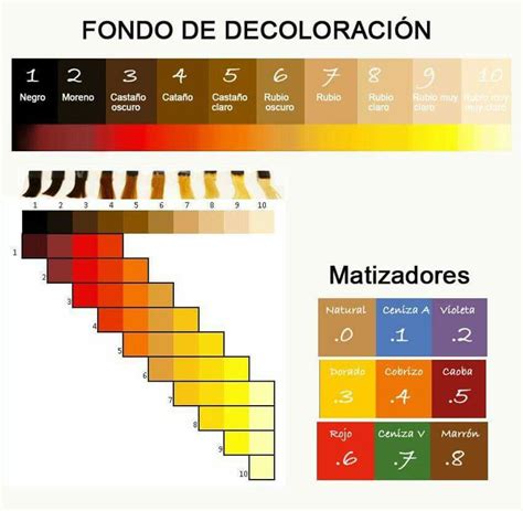 Pin By Isabel Garcia Langa On Carteles De Pelu Hair Color Formulas