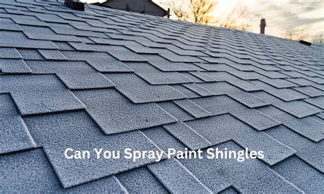 Can You Spray Paint Shingles Expert Answer