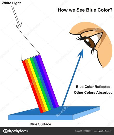 How See Blue Color Infographic Diagram Showing Visible Spectrum Light