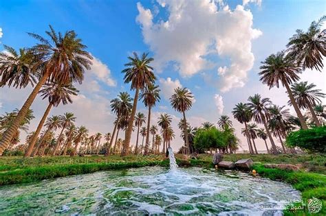 2024 Une Visite à Al Ahsa La Plus Grande Oasis Du Monde
