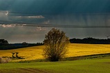 Kurz vor dem Regen Foto & Bild | landschaft, Äcker, felder & wiesen ...