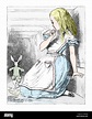Sir John Tenniel (1820-1914) illustration de 'Alice au pays des ...