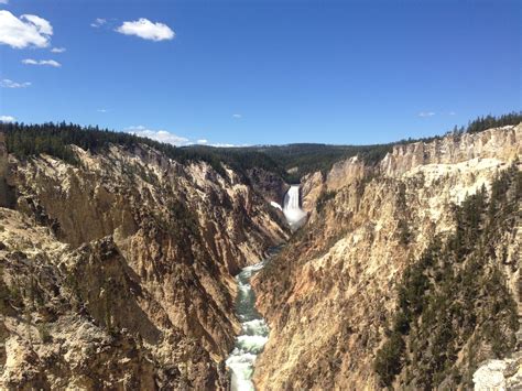 Yellowstone National Park Lower Loop Guided Tour — Yellowstone Scenic Tours