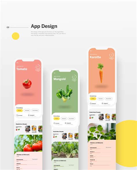 flying veggies  behance  images app design app interface