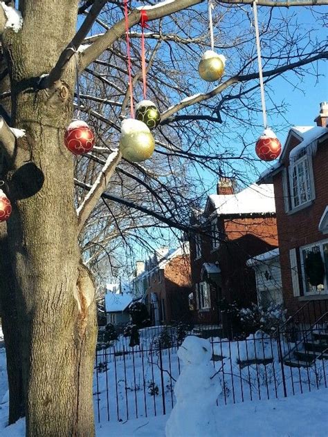 Phoenix homes, building since 1988. I love Christmas in Ottawa | Christmas memory, Outdoor ...