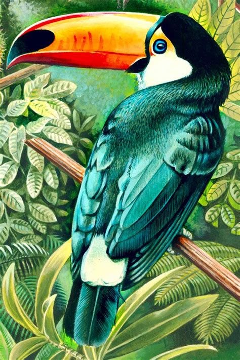 Rainforest Parrots Art Bird Art Tropical Art