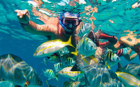 Best Spots For Snorkeling In Cancun Blog Cancun Snorkeling