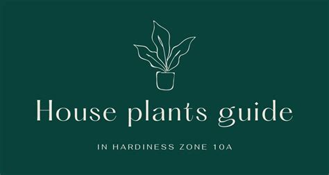 Zone 10a Planting Guide Gardening With Horticulturist