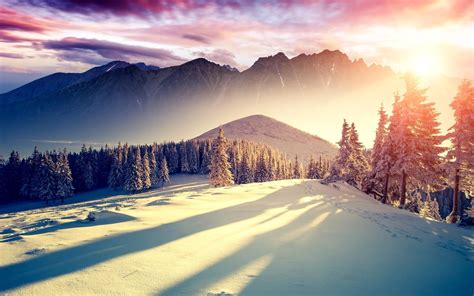 Online Crop Mountain Covered By Snow Forest Hd Wallpaper Wallpaper