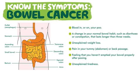 A change in bowel habits, such as diarrhea, constipation, or narrowing of the stool, that lasts for more than a few days a feeling that you need to have a bowel movement that is not relieved by having one rectal bleeding with bright red blood blood in the stool, which might make it look dark brown or black What are the Symptoms of Bowel Cancer and where to get help