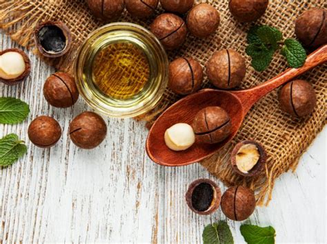 Macadamia Nuts Exploring The Benefits History Nutritional Value Tv