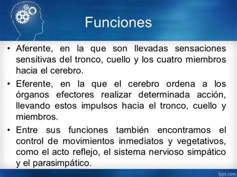 Sensaciones ¿qué Son Mapas Mentales Cuadro Comparativo