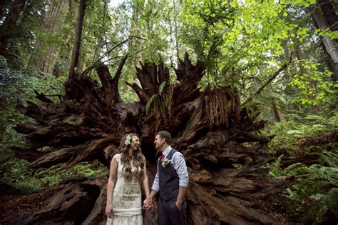 A Northern California Redwoods Wedding Cecilia And Craig ~ Northern California Wedding