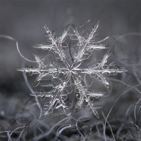 6 Amazing Close Ups Of Individual Snowflakes From This Winter