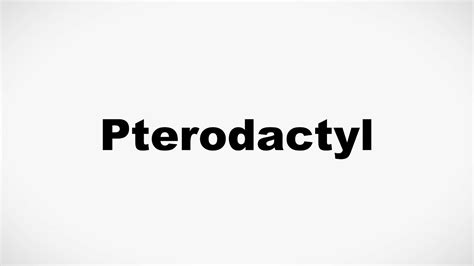 How To Pronounce Pterodactyl Youtube