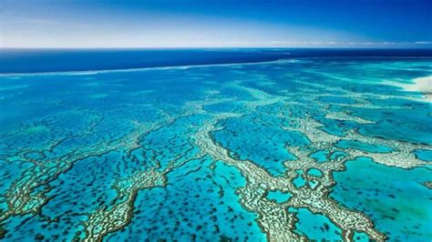 Funding Boost To Protect And Restore The Great Barrier Reef Triple M