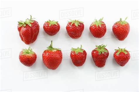 Ten Strawberries Stock Photo Dissolve